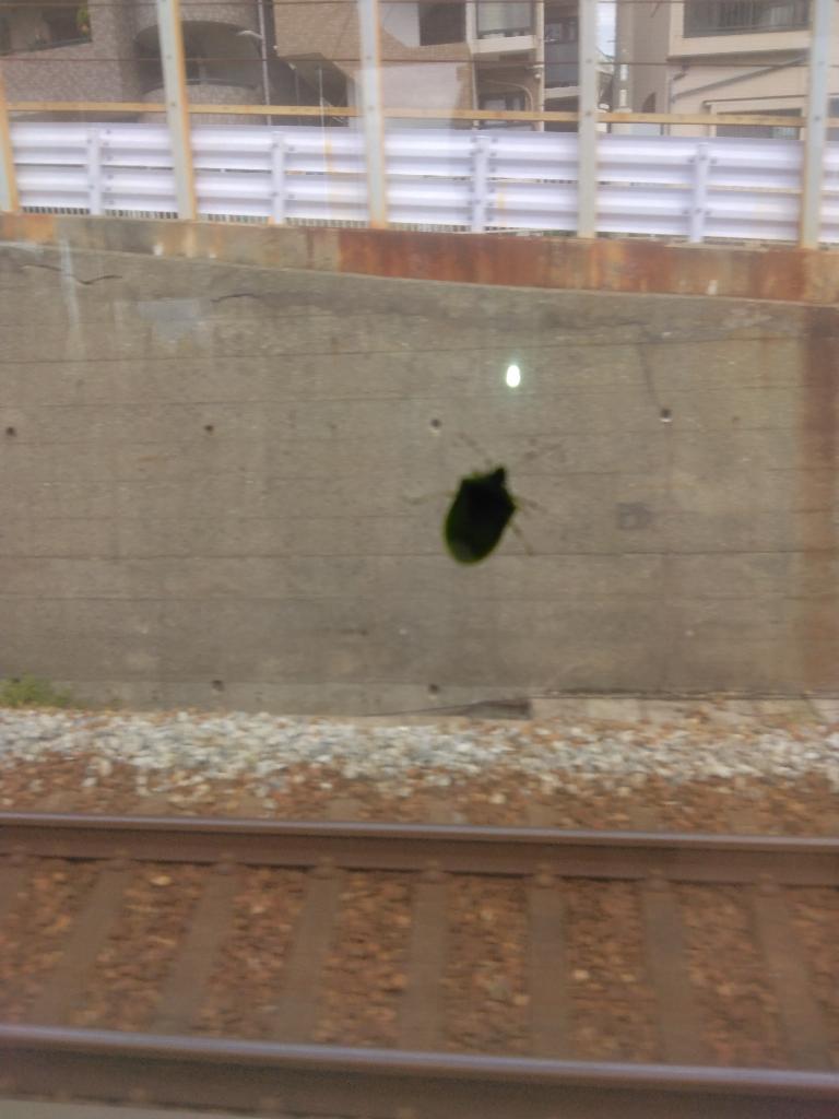 朝比奈（あさひな）