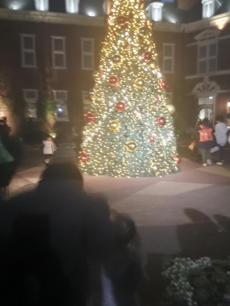 中条（なかじょう）11月11日入店！