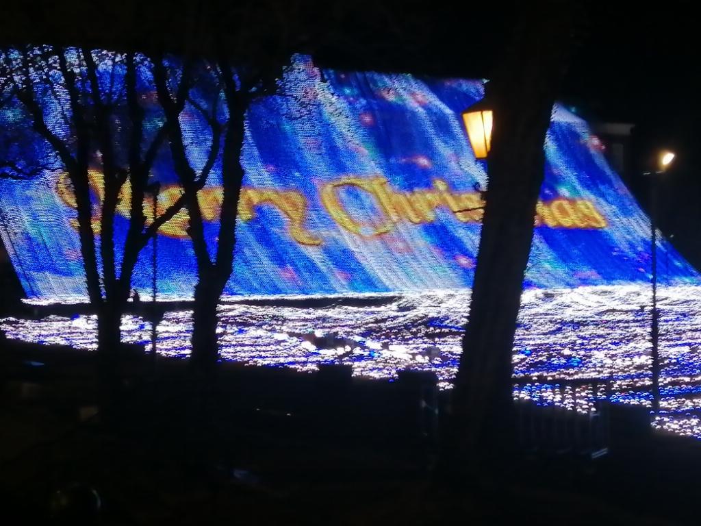 中条（なかじょう）11月11日入店！